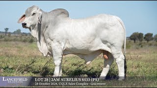 Lot 28  2AM AURELIUS 8533 PS [upl. by Beverle]