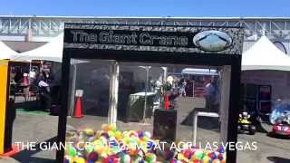 Giant Crane Game AGR Las Vegas [upl. by Palma436]