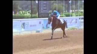 2e course  Gd Prix de Son Altesse Royale le Prince Moulay Rachid  PS arabes  1750 m [upl. by Kra]