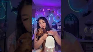 Real or Fake🐶 asmr shorts [upl. by Thgirw]