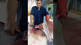 No boning of salmon and roe fishcutting [upl. by Lerim]