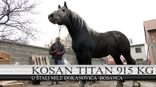 BOSANAC KUPIO OPASNOG TITANA OD 915 KG [upl. by Yelrac]