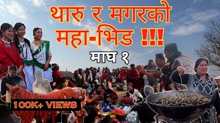 Maghe Sankranti ││ Tharu Festival ││Magar Festival││Pork Heaven ││Tudhikhel ││Kathmandu ││Nepal││ [upl. by Hniht]