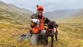 Alaskas Ptarmigan Slam Part 1  The Flush Season 14 Episode 2 [upl. by Eelamme236]