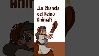 ¿La Chancla del Reino Animal [upl. by Cavil351]