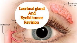 Lacrimal gland revision part 3 and eyelid tumors eyelectures opthalmology jatoi [upl. by Lleret911]