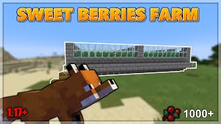 Easy Auto Sweet Berries Farm Tutorial  1000 Sweet Berries Each Hour  Minecraft Farm 117 [upl. by Eirrehs572]