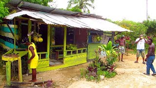 The Jamaica Scene  Negril Tropical Farm Adventure [upl. by Amelina]