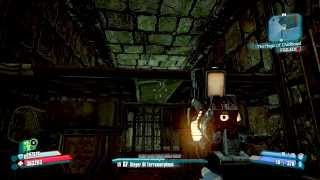 Survive the crushing platform puzzle in the Lair of Infinite Agony in Borderlands 2 every time [upl. by Leahkim343]