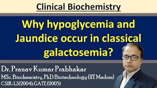 Why hypoglycemia and Jaundice occur in the case of Classical Galactosemia [upl. by Alleuol]