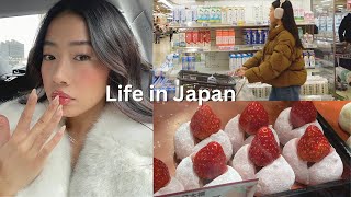 LIVING IN JAPAN ౨ৎ grocery shopping after work kamakura day trip ichigo daifuku [upl. by Ahsykal]