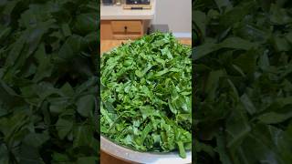 GET YOUR GREENS HERE FOR THANKSGIVING Jacksonville FL food [upl. by Darice]