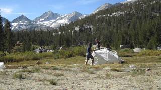 Shelter Systems 10 foot dome set up [upl. by Elyad]