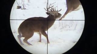 13 Trophy Whitetail Bucks Harvested in Snow using Smartphone Scope Mount at Apple Creek Whitetails [upl. by Opportuna963]