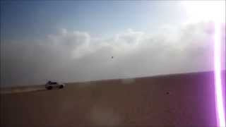 شيلة يقولون قلبك للقنص مقناص الكدري Blackbellied Sandgrouse [upl. by Mcneely]