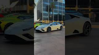 Lamborghini Huracán Evo RWD V10👻 automobile cartok youtube youtubeshorts music car [upl. by Ryle]