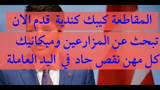 هنا كندا اخبار سارة لهذه المهن 🔴كندا كيبك تحتاج موظفين بشكل عاجل من جميع أنحاء العالم بدون اللغة [upl. by Cott]