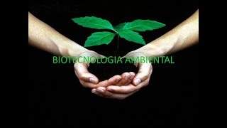 Biotecnología Ambiental  Equipo 3  CETI [upl. by Enaillil]