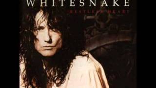 Whitesnake  Dont Fade Away [upl. by Isus]