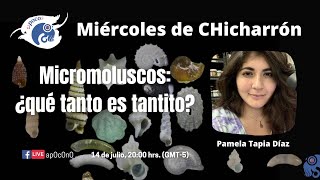 Micromoluscos ¿Qué tanto es tantito Pamela Tapia Díaz [upl. by Enyrat859]