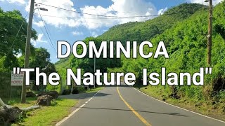 DOMINICA DRIVING TOUR FROM JIMMIT TO PORTSMOUTH  JAMAICAN IN DOMINICA [upl. by Afra]