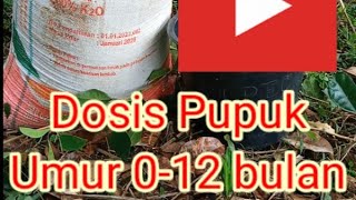 Dosis Pupuk untuk Sawit umur 0 12 bulan [upl. by Tihom264]