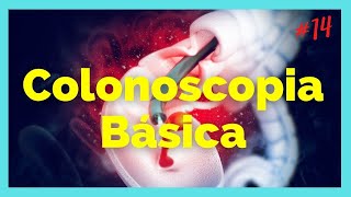 🧐 Empieza por aquí si vas a hacer COLONOSCOPIA CURSO ENDOSCOPIA PRINCIPIANTES amp RESIDENTES14🚀 [upl. by Marguerie]