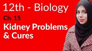 2nd Year Biology Ch 15  Kidney Problems amp Cures  FSc Biology Book 2 [upl. by Ytte843]