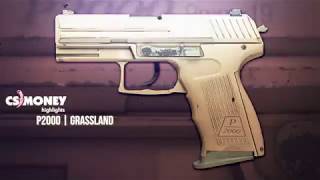 CSGO  P2000  Grassland [upl. by Dareen257]