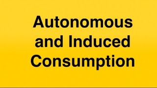 Autonomous and Induced Consumption [upl. by Piotr]