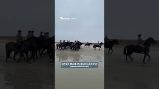 Household Cavalry make a splash during beach break [upl. by Ledoux220]