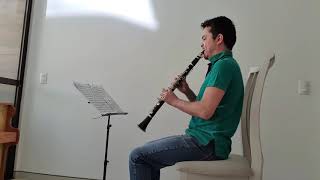 Weber clarinet concerto 1 mov 1 [upl. by Nicolais]