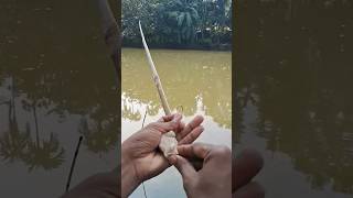 Amazing Sikol Trap Fishingef🎣🐟🐳🐬 fishingtechnique indianladyhookfishing viralvideo shorts [upl. by Aztinad]