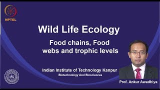 noc19bt09 Lecture 10Food chains Food webs and trophic levels [upl. by Neeven]