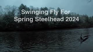 Salmon River Spring Steelhead Swinging Fly 2024 [upl. by Brynn]