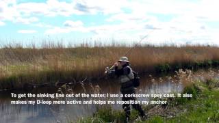 Spey casting at Lindenborg river in Denmark [upl. by Brannon128]