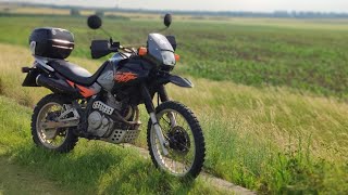 Honda Dominator 650 [upl. by Nilram]