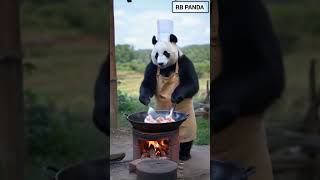 quotPanda Paradise Heartwarming Clips That Will Make You Smilequot [upl. by Laet838]