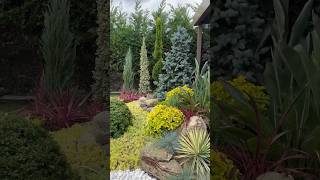 Ormanada final peyzaj projem ormanada landscapedesign shorts shortvideo keşfet [upl. by Kylie]