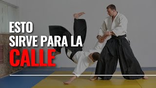 FUNCIONA el AIKIDO en una PELEA REAL  Como defenderse en una pelea callejera [upl. by Zertnom545]