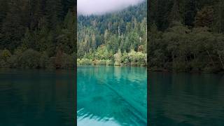 Lake Crescent 🌙 Washington  🏔️ Best Things to do in Olympic National Park  Travel Guide [upl. by Clayton323]