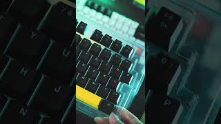 Shinethrough PC Keycaps for NuPhy Halo96 mechanicalkeyboard shorts rgbkeyboard [upl. by Dianuj]