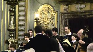 TÖLZER KNABENCHOR Komm Jesu komm BWV 229 Johann Sebastian Bach Roma [upl. by Nava]