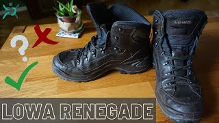 Lowa Renegade GTX Mid Wanderschuh Review Das perfekte Multitalent [upl. by Cooperstein]