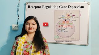 Receptors regulating gene expression  Nuclear receptors  Signal transduction pathway [upl. by Arel788]