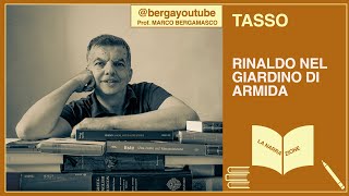 Tasso Rinaldo e Armida Il racconto [upl. by Dahlia921]