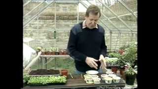 Geoff Hamilton amp Ann Swithinbanks gardening tips1980s [upl. by Anahpos]