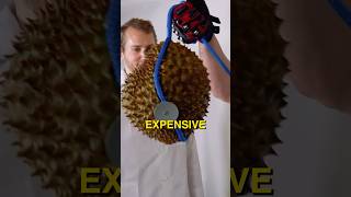 I got Hit with the Worlds Most Expensive Fruit funny science health [upl. by Leipzig]