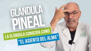 La GLÁNDULA PINEAL Cuál es su Función y Cómo Mantenerla Sana [upl. by Selene800]