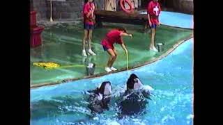 Canada 1990 Marineland [upl. by Animlehliw]